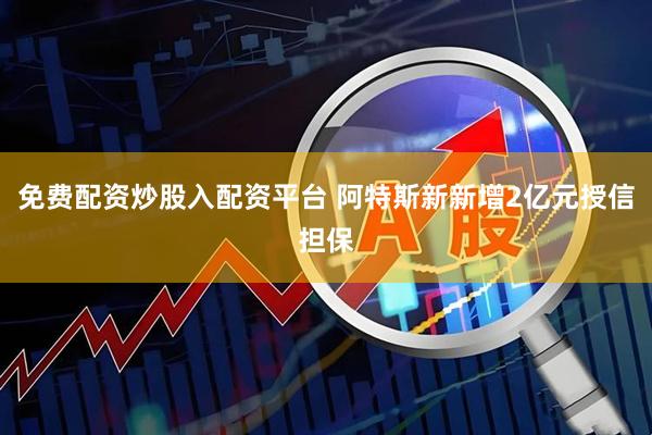 免费配资炒股入配资平台 阿特斯新新增2亿元授信担保